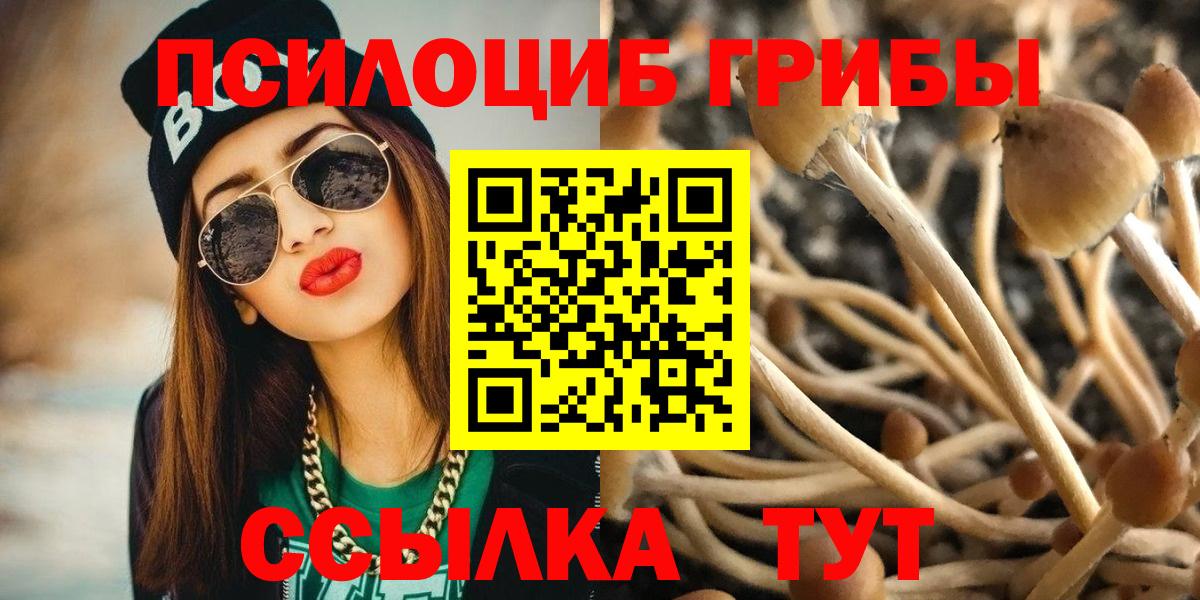 Галлюциногенные грибы мицелий Междуреченск