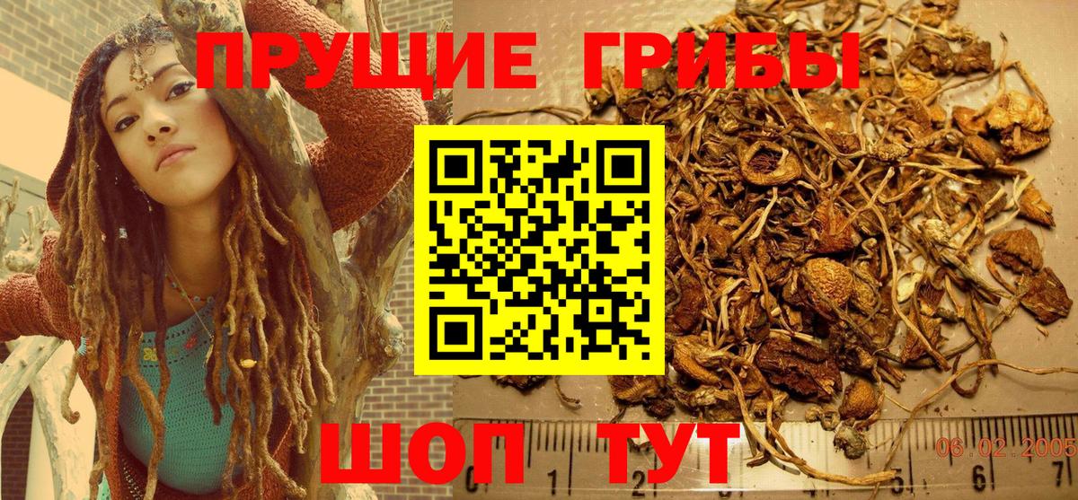 Междуреченск  Псилоцибиновые грибы мицелий  Вход с VPN 